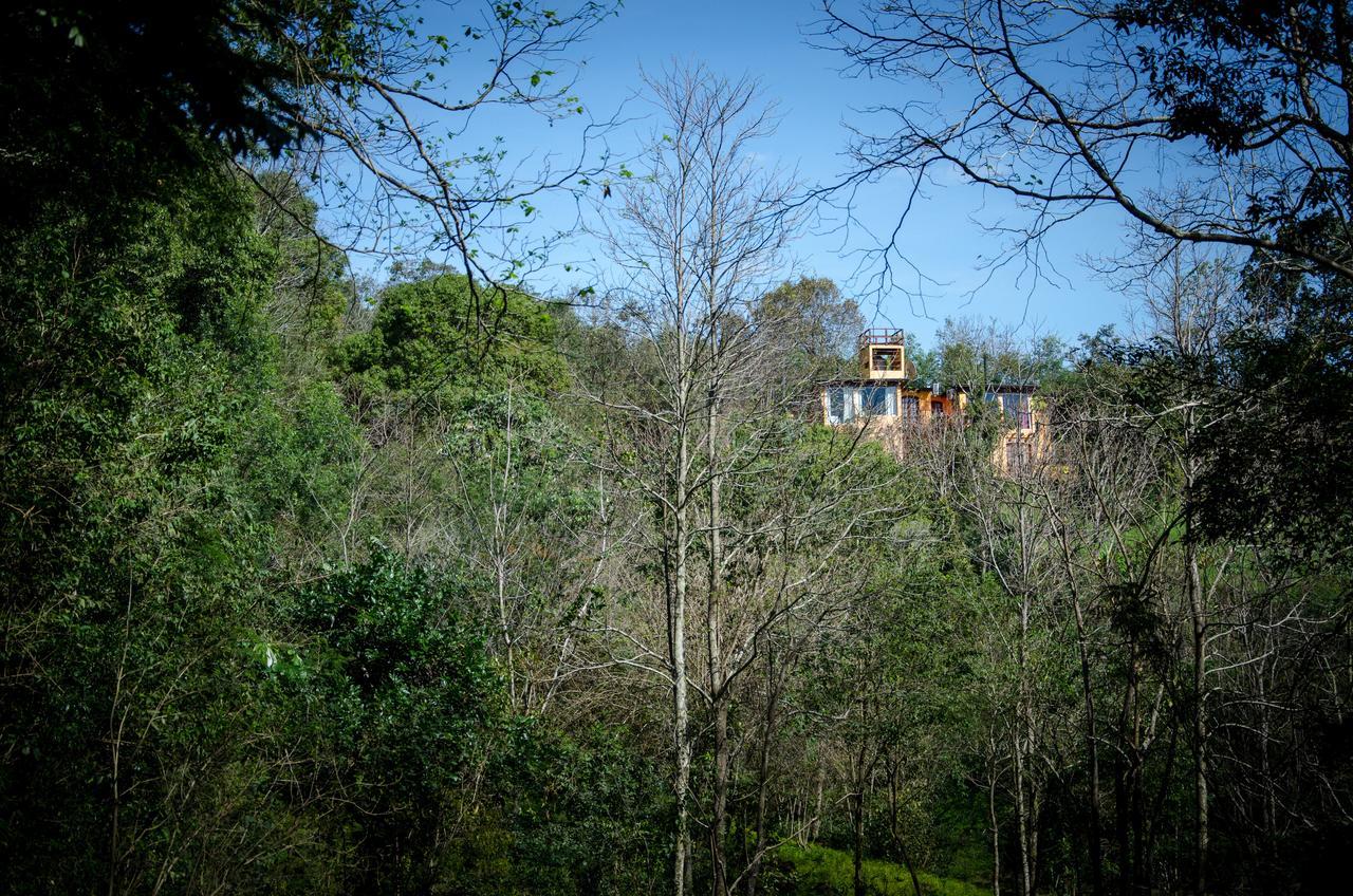 Amaraka Lodge Leandro N. Alem  Exterior photo